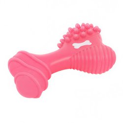 استخوان سرگرمی و اسباب بازی سگ